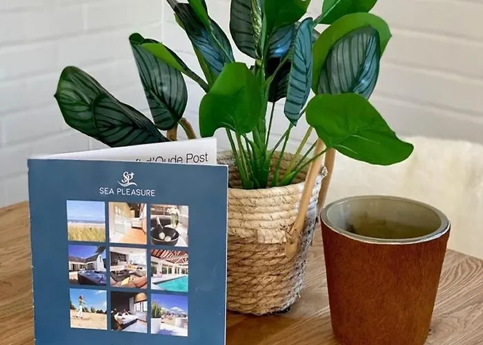 Luxury In With Jacuzzi